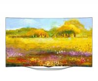 Телевизор LG 55EC930V
